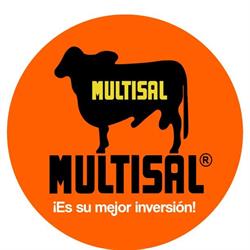 Multisal S.A.S