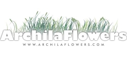 Floristería Archila Flowers