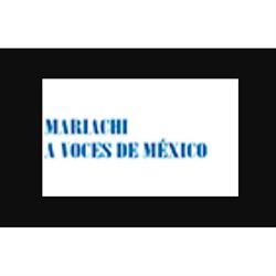 Mariachi A Voces De México