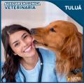 Veterinaria