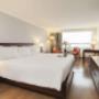 Premium Room-King Bed