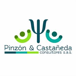 PINZON & CASTAÑEDA CONSULTORES S.A.S