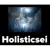 HOLISTIC SEI