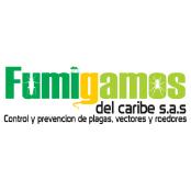 Fumigamos