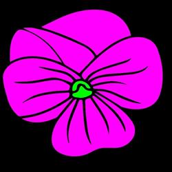 Violet
