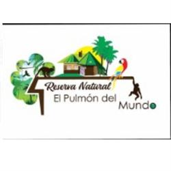 Cabañas en los arboles pulmón del mundo