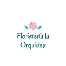 FLORISTERIA LA ORQUIDEA