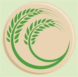 Luna Nueva Tienda Naturista