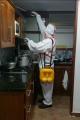 Control de Plagas