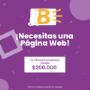 Paginas web economicas