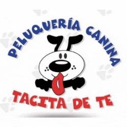 PELUQUERÍA CANINA TACITA DE TÉ