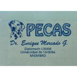 CLINICA VETERINARIA PECAS