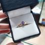 anillo Rimini