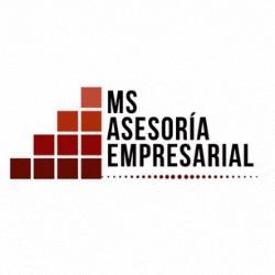 MS ASESORIA EMPRESARIAL SAS