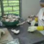 # 4