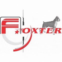 Foxter
