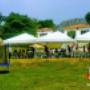 Carpas cartagena