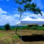 Carpas cartagena