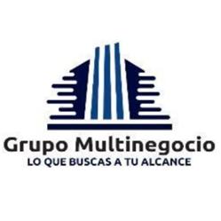 GRUPO MULTINEGOCIOS