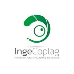 Control de plagas y Fumigaciones IngeCoplag Itagüí