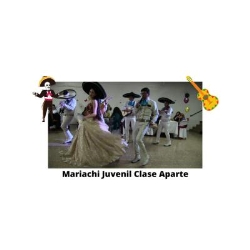 Mariachi, mariachis bogota (Mariachi juvenil clase aparte Bogota)