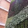 Muro Verde Zona Franca Bogotá