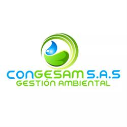 CONSULTORIA EN GESTION AMBIENTAL