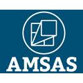 AM ASISTENCIA MULTIPLE S.A.S.