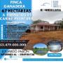 Finca Ganadera 67 hectáreas a 5 minutos de Caribe Aventura