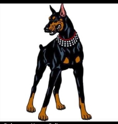 Doberman House Cali