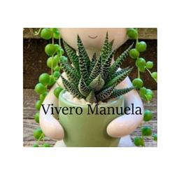 Vivero Manuela Beltrán