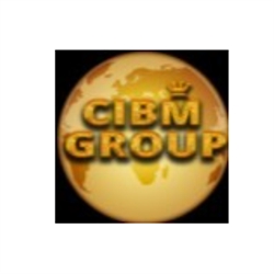 C.I BM GROUP SAS