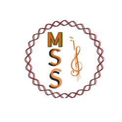 Mariachi Serenata Show