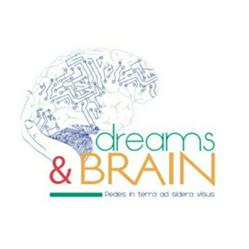 DREAMS & BRAIN