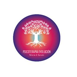 Psicoterapia Evolución