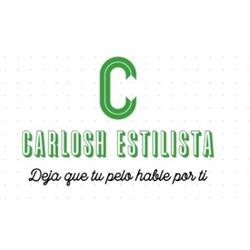 Carlos H Estilista