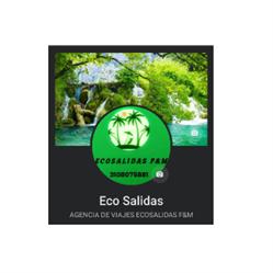Agencias de Viajes Ecosalidas F&M