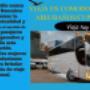 transporte de buses