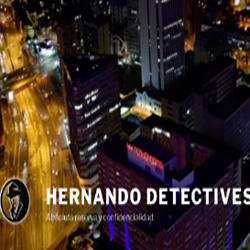 Hernando Detectives