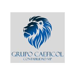 COMPAÑIA DE ADMINISTRACIÓN EMPRESARIAL Y FINANCIERA DE COLOMBIA S.A.S