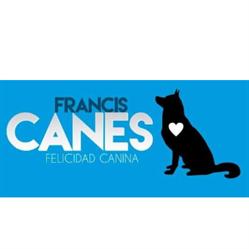 Franciscanes