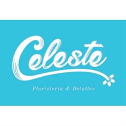 FLORISTERIA CELESTE