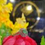 Anillo Dama Oro Blanco 18k