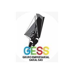 Gess Capacitaciones