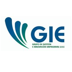 GRUPO DE GESTION E INNOVACION EMPRESARIAL GRUPO GIE S.A.S.