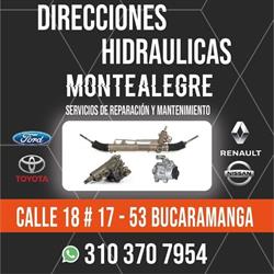 DIRECCIONES HIDRAULICAS MONTEALEGRE