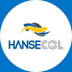 Puentes Grúas y Polipastos Hansecol SAS