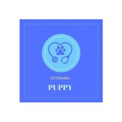 Veterinaria Puppy