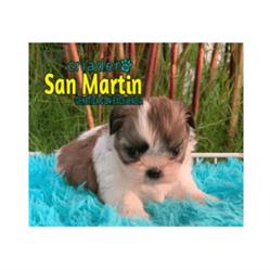 Criadero San Martín