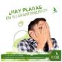FECOL, con más de 20 años de experiencia, ofrece soluciones confiables en control de plagas en toda Colombia. Desde Cali, somos expertos en fumigación de granos, inmunización de madera, desinsectación, desinfección, desratización y manejo de extintores, destacándonos por nuestra eficiencia, rapidez y compromiso. Nos encontramos en Colombia.
